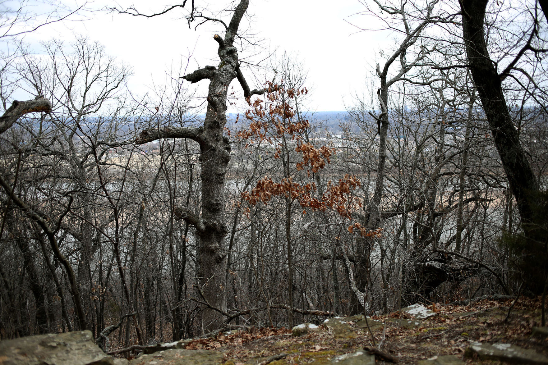 Turkey Mountain Haunted Trail